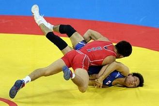 Freestyle wrestling